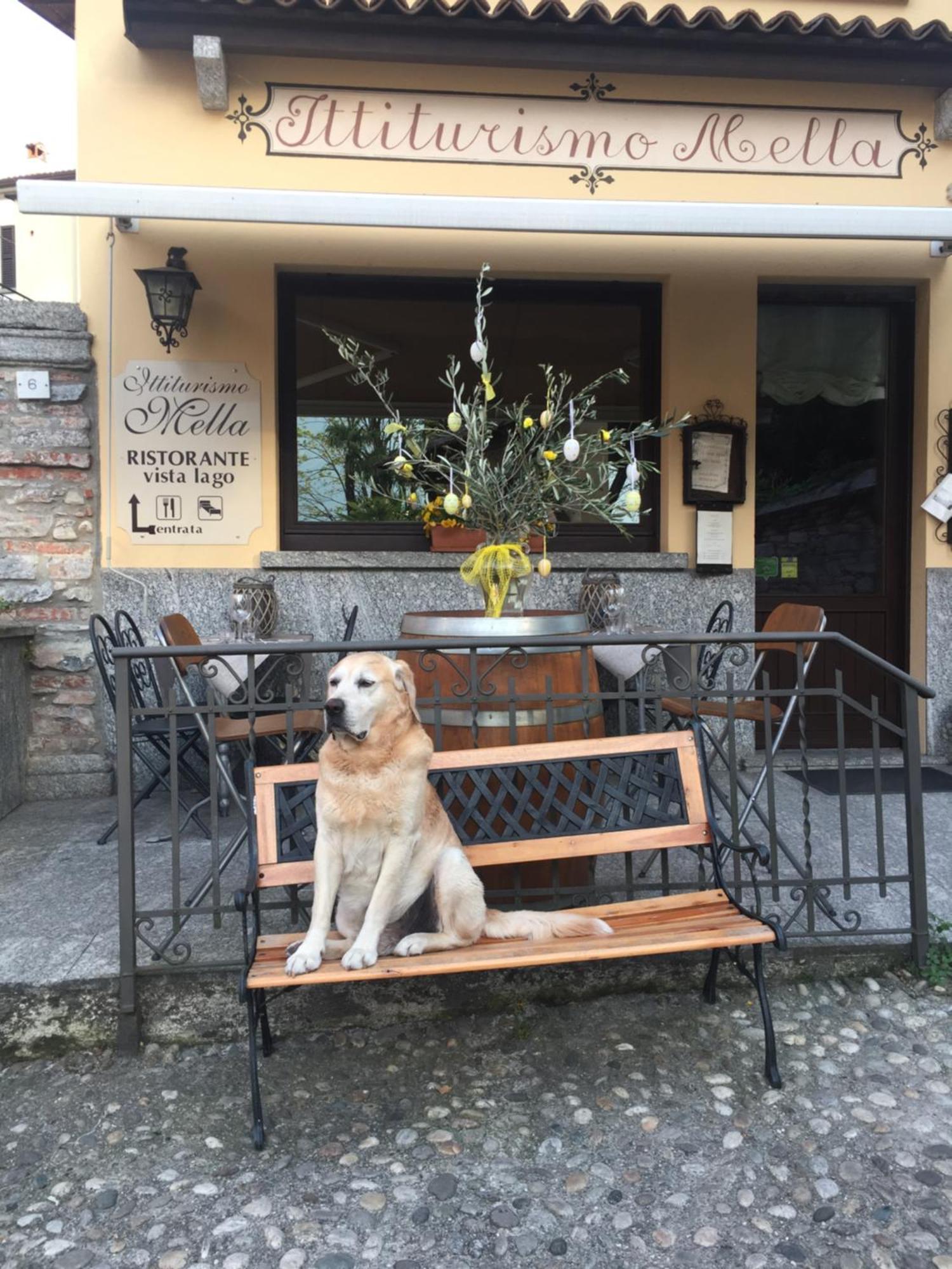 Mella -la Corte - At The With Parking Apartamento Bellagio